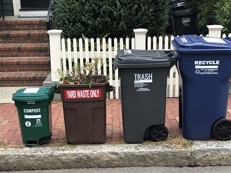FREE Yard waste pick .